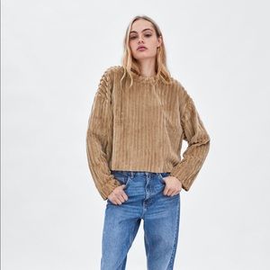 Sweatshirt / sweater